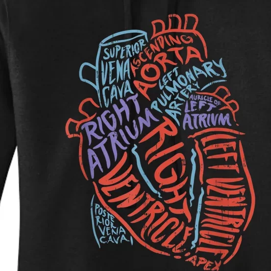 Anatomy Heart Cardiology Student Medical Professional Women's Pullover Hoodie