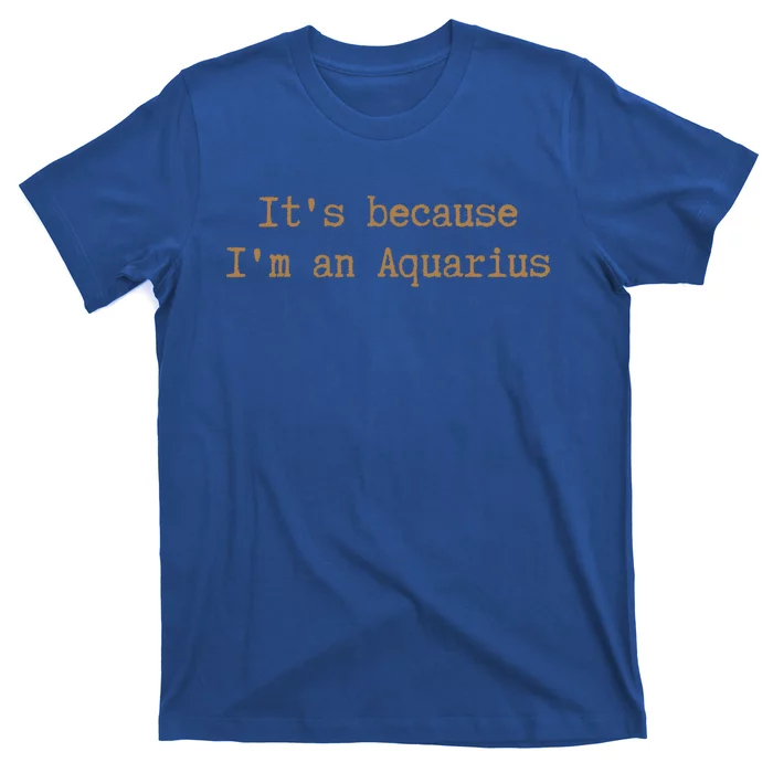 Aquarius Horoscope Cool Gift Zodiac Sign Astrology Melanin Gift T-Shirt