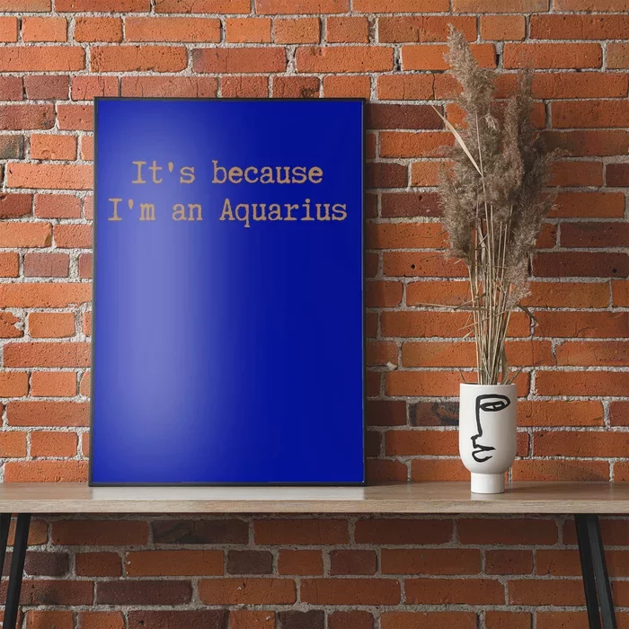 Aquarius Horoscope Cool Gift Zodiac Sign Astrology Melanin Gift Poster