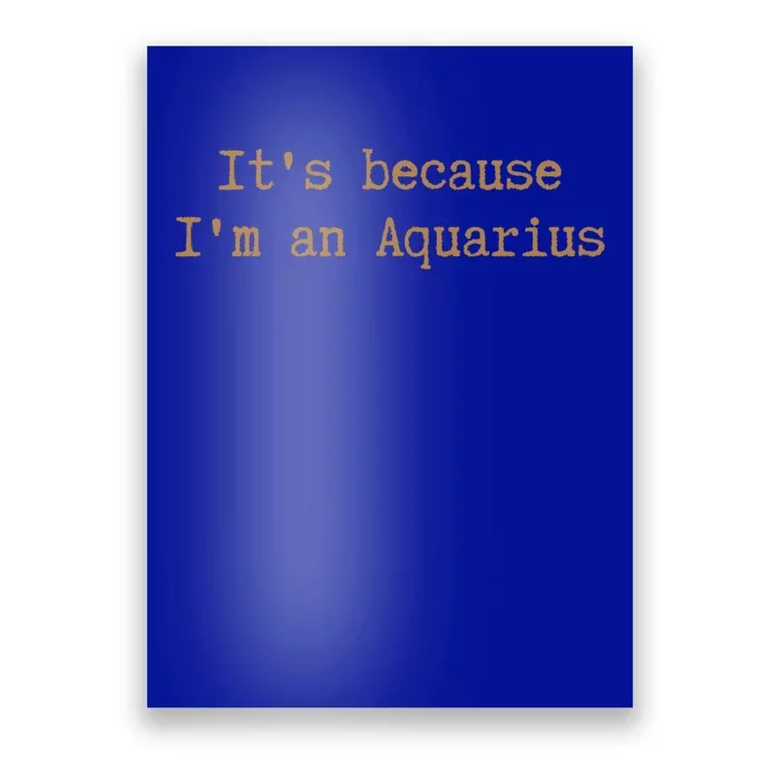 Aquarius Horoscope Cool Gift Zodiac Sign Astrology Melanin Gift Poster