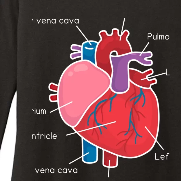 Anatomical Humain Heart Anatomy Science Physiology Medical Great Gift Womens CVC Long Sleeve Shirt