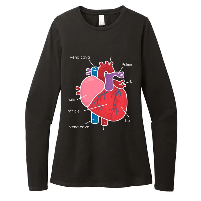 Anatomical Humain Heart Anatomy Science Physiology Medical Great Gift Womens CVC Long Sleeve Shirt