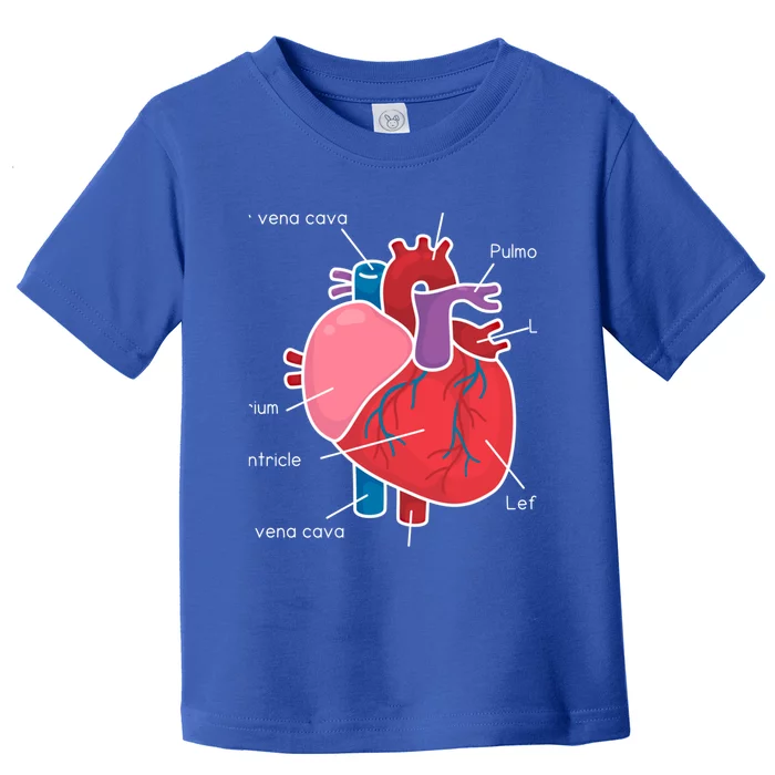 Anatomical Humain Heart Anatomy Science Physiology Medical Great Gift Toddler T-Shirt