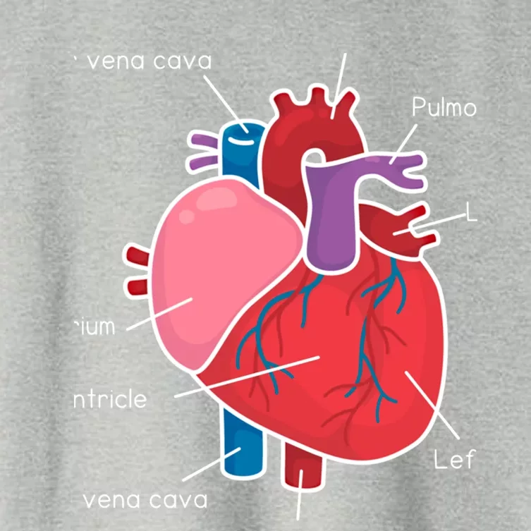 Anatomical Humain Heart Anatomy Science Physiology Medical Great Gift Women's Crop Top Tee