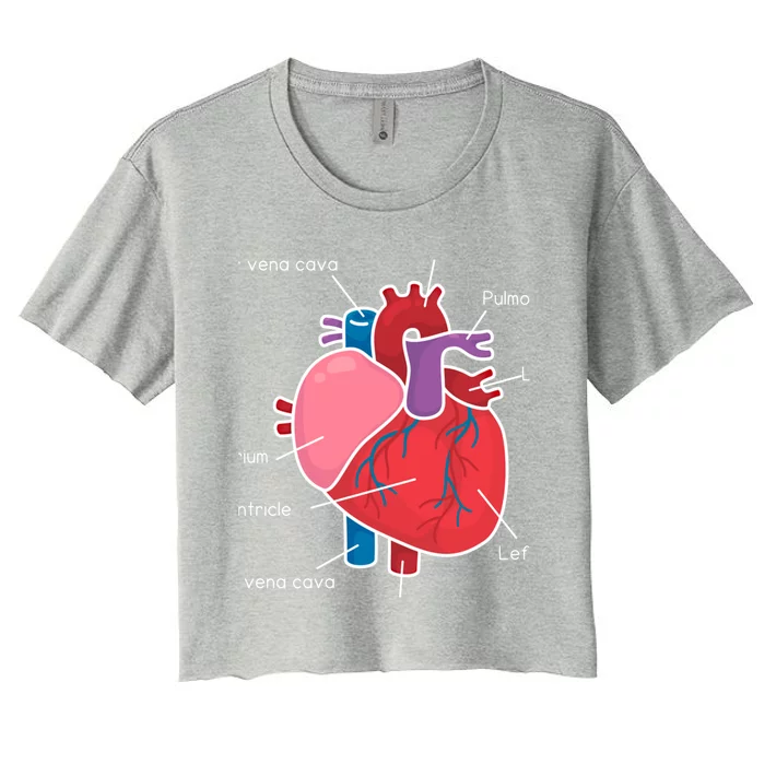 Anatomical Humain Heart Anatomy Science Physiology Medical Great Gift Women's Crop Top Tee