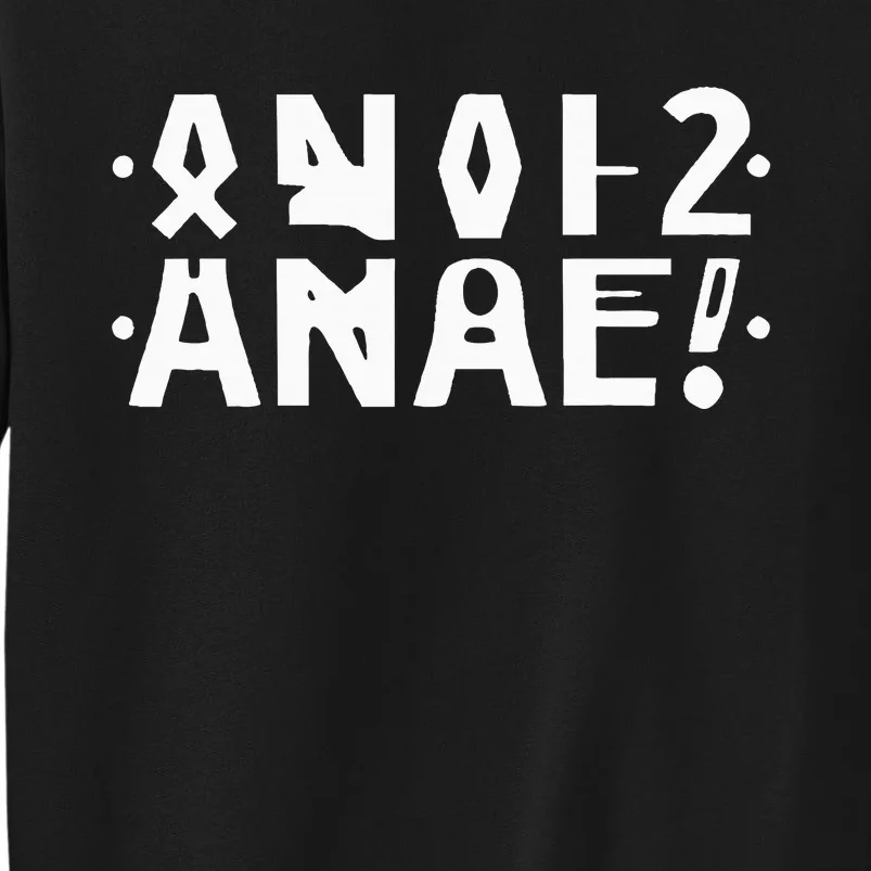 Anal Hidden Message The Original 2024 Sweatshirt