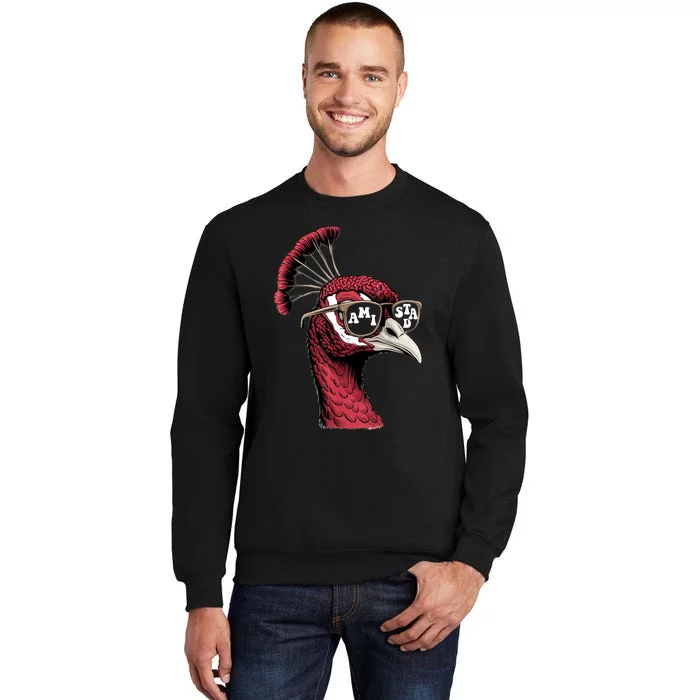 Amistad House Of Friendship Amistad Friendly School Spirit Tall Sweatshirt