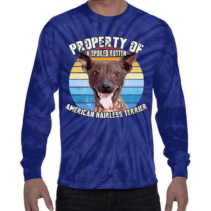 American Hairless Terrier Retro Property Of Cute Dog Tie-Dye Long Sleeve Shirt