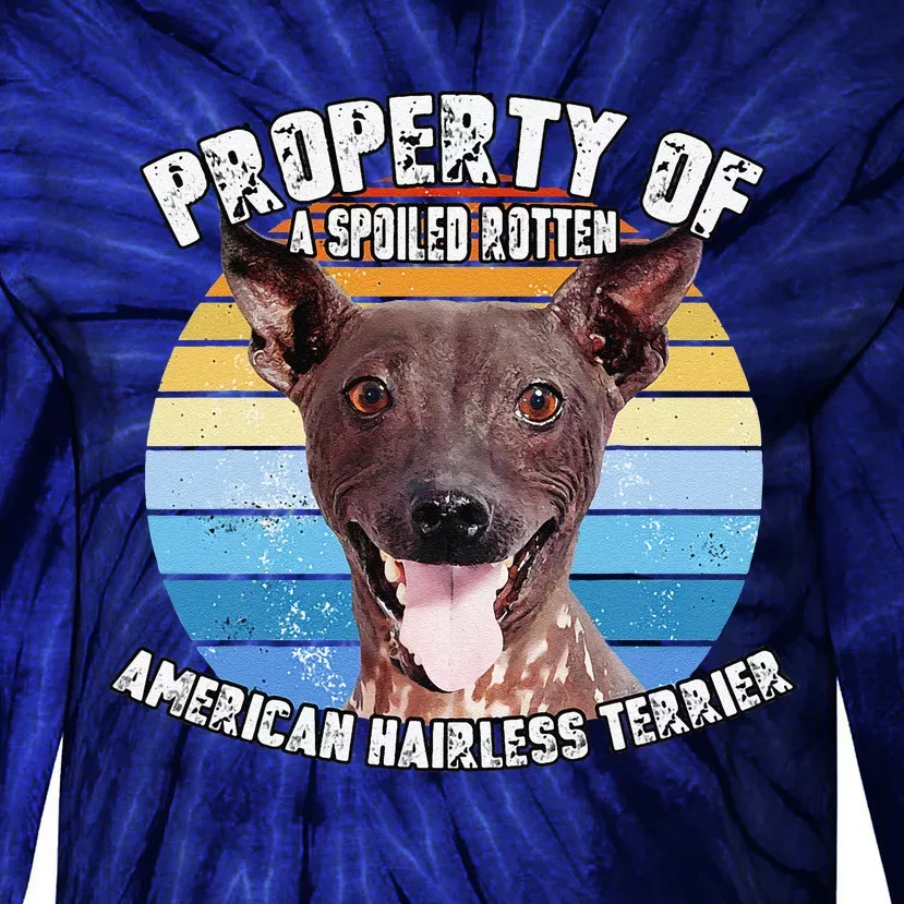 American Hairless Terrier Retro Property Of Cute Dog Tie-Dye Long Sleeve Shirt