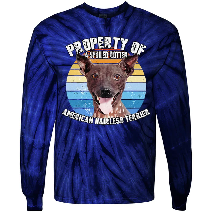 American Hairless Terrier Retro Property Of Cute Dog Tie-Dye Long Sleeve Shirt