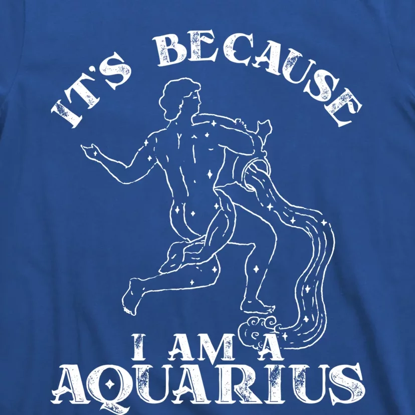 Aquarius Horoscope Zodiac Sign Astrology Great Gift T-Shirt