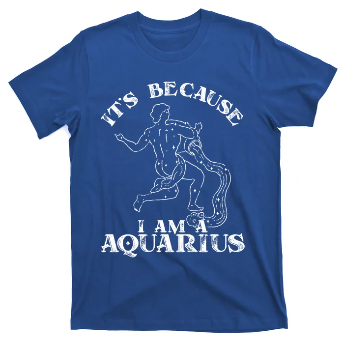 Aquarius Horoscope Zodiac Sign Astrology Great Gift T-Shirt