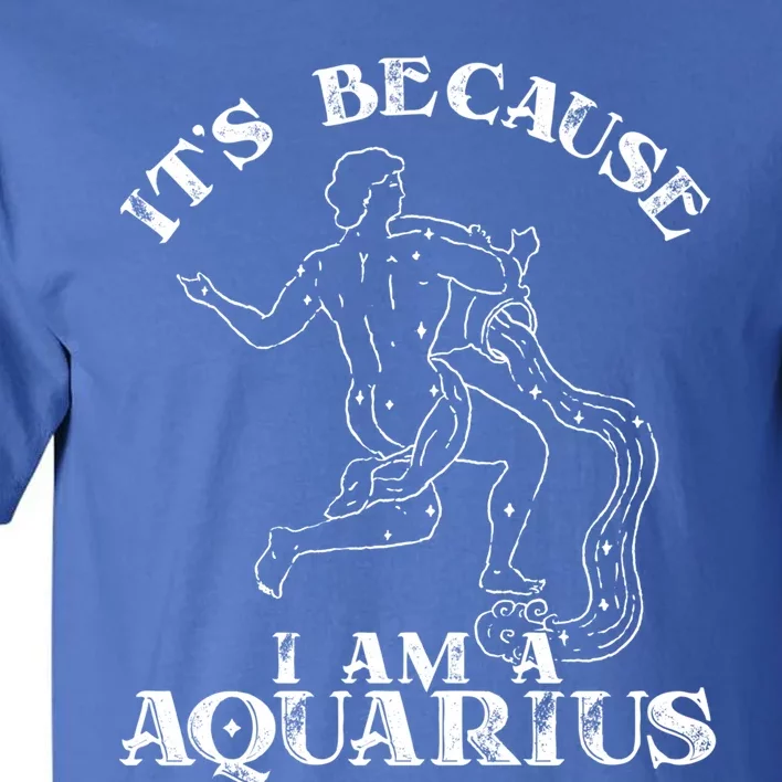 Aquarius Horoscope Zodiac Sign Astrology Great Gift Tall T-Shirt