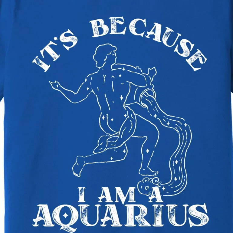 Aquarius Horoscope Zodiac Sign Astrology Great Gift Premium T-Shirt