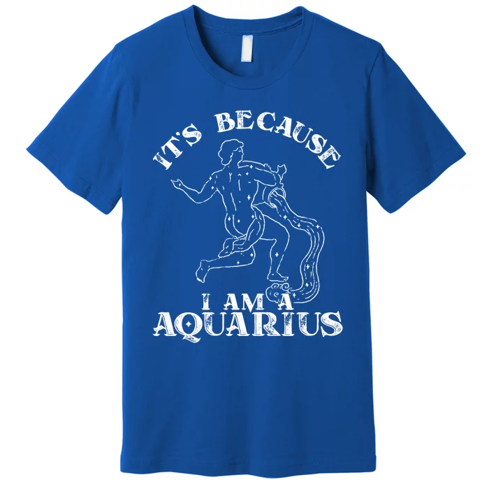 Aquarius Horoscope Zodiac Sign Astrology Great Gift Premium T-Shirt