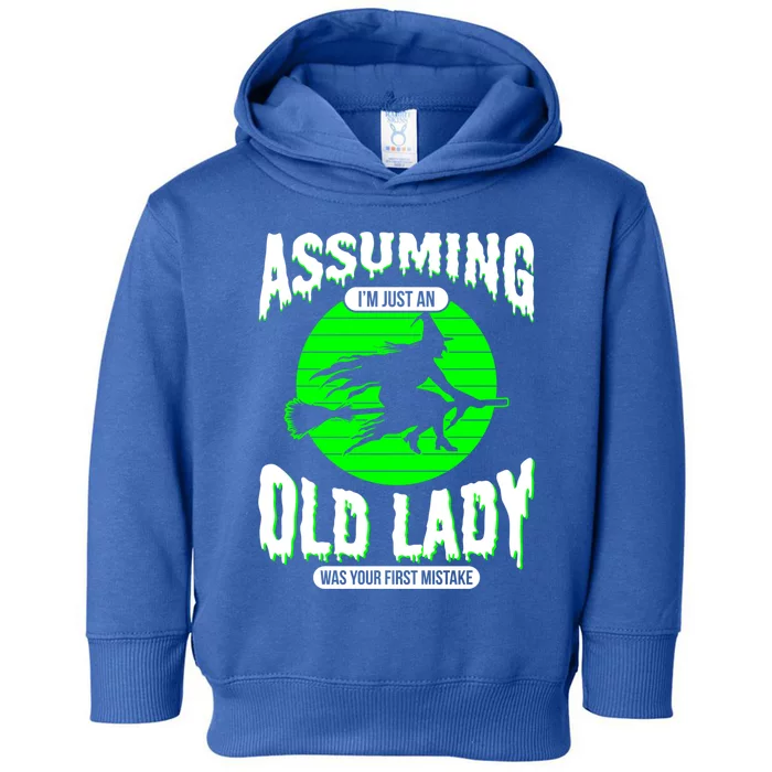 Assuming Im An Old Lady Was Your First Mistake Witch Gift Toddler Hoodie