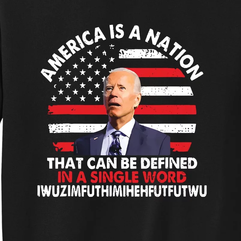 America Is A Nation That Can Be Defined In Single Word Biden Tall Sweatshirt