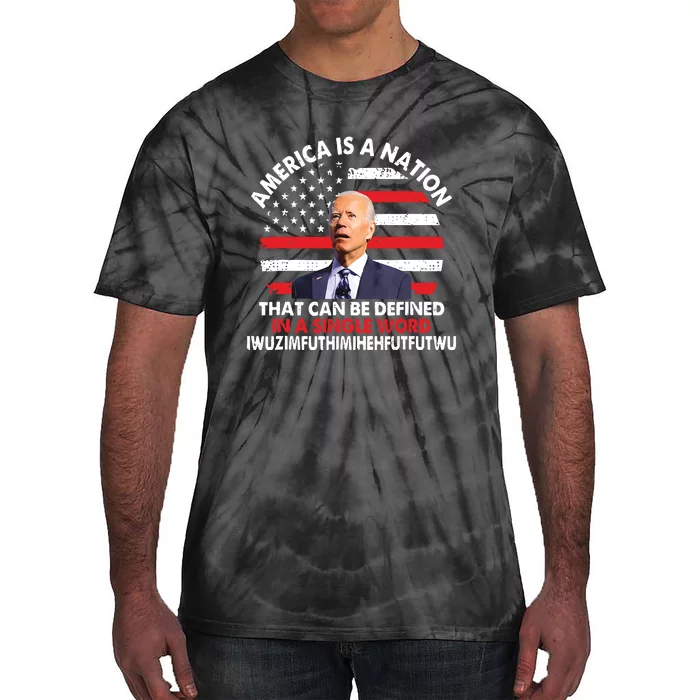 America Is A Nation That Can Be Defined In Single Word Biden Tie-Dye T-Shirt