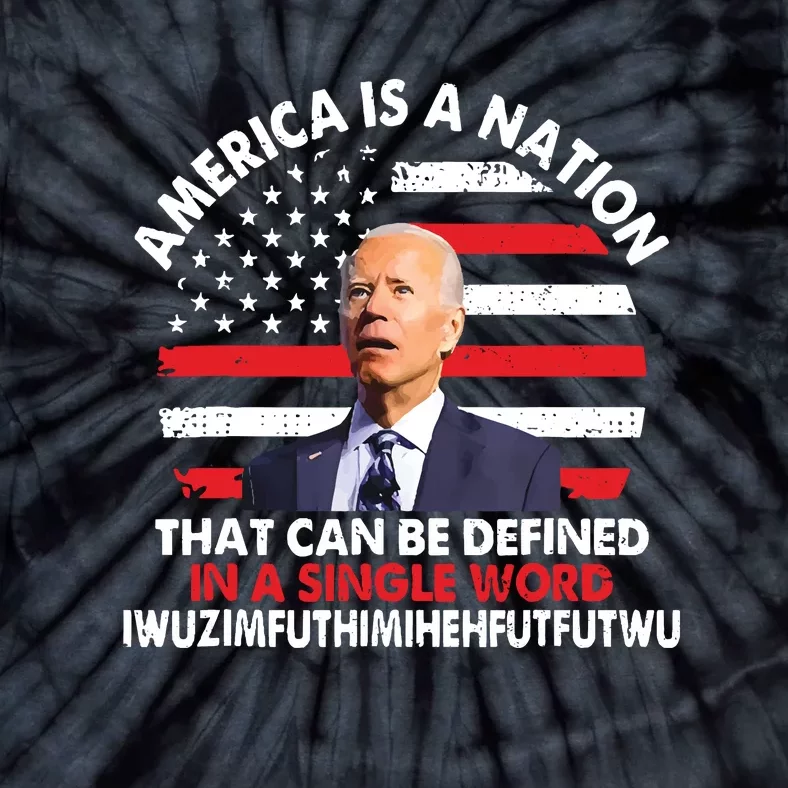 America Is A Nation That Can Be Defined In Single Word Biden Tie-Dye T-Shirt