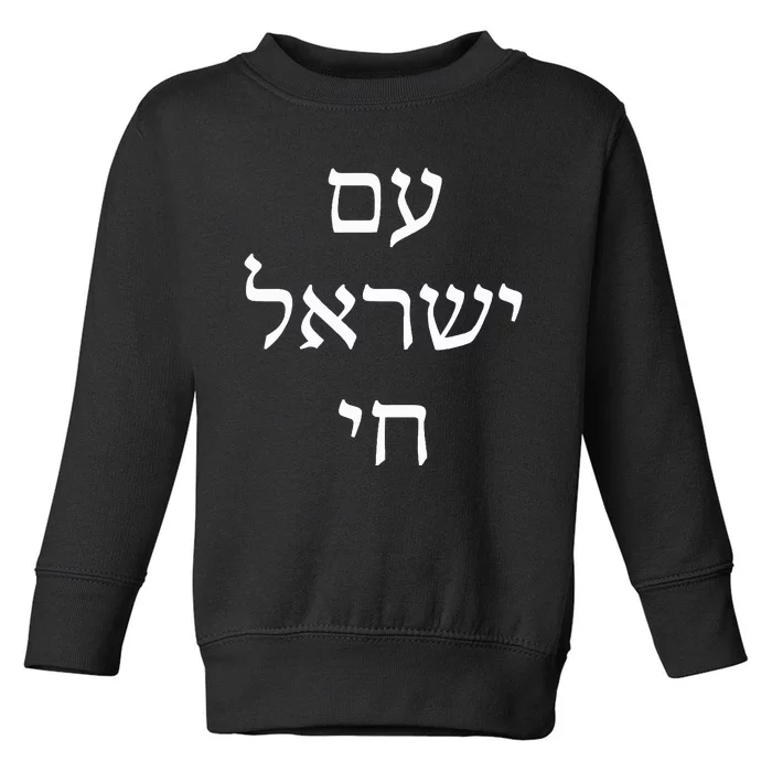 Am Israel Chai Jewish Pride Support Israel Hebrew Jerusalem Toddler Sweatshirt