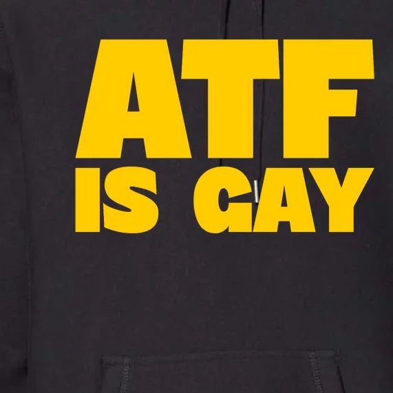 Atf Is Gay Human Rights Equality Pride Premium Hoodie