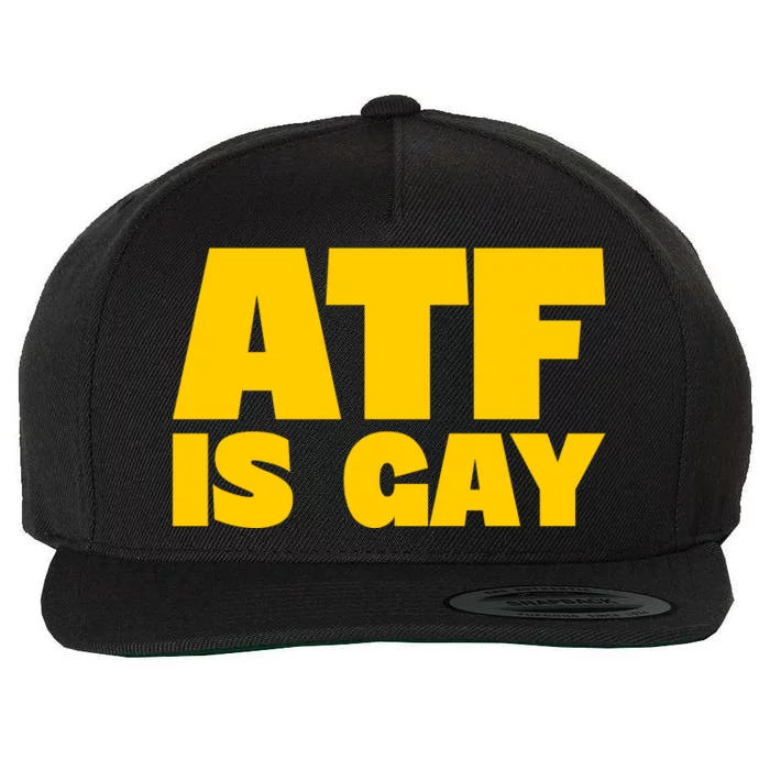 Atf Is Gay Human Rights Equality Pride Wool Snapback Cap