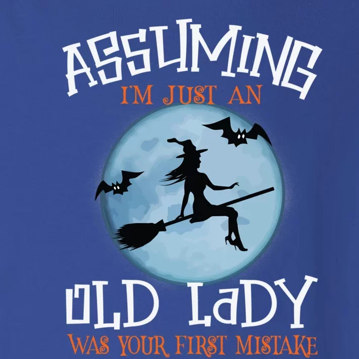 Assuming IM Just An Old Lady Was Your First Mistake Witch Gift Toddler Long Sleeve Shirt