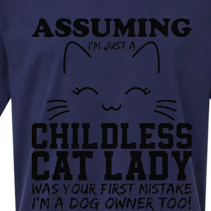 Assuming IM Just A Childless Cat Lady Dog Owner Too Sueded Cloud Jersey T-Shirt