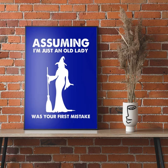 Assuming Im Just An Old Lady Was Your First Mistake Witch Gift Poster