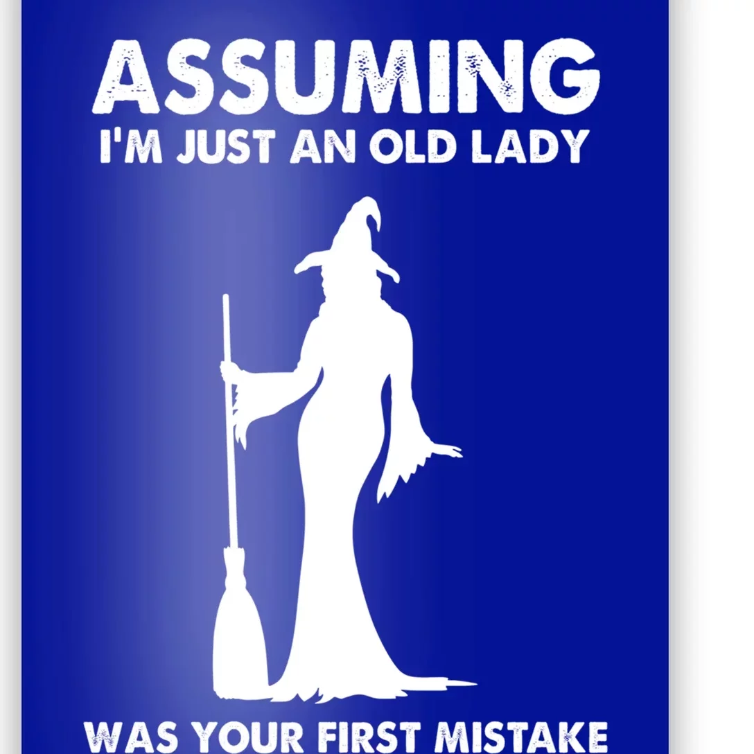 Assuming Im Just An Old Lady Was Your First Mistake Witch Gift Poster