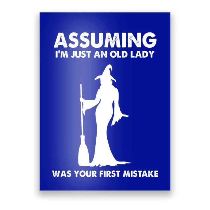 Assuming Im Just An Old Lady Was Your First Mistake Witch Gift Poster