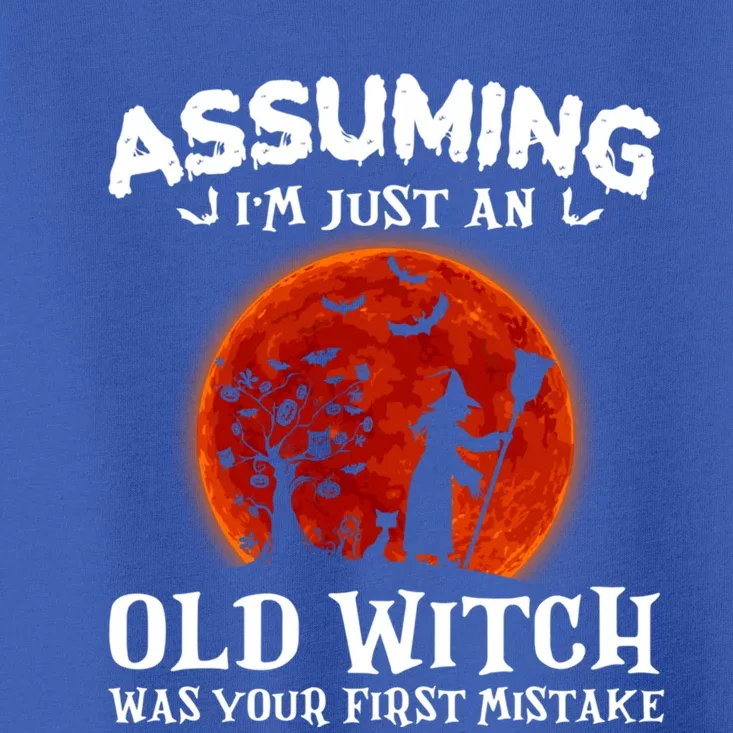 Assuming Im Just An Old Witch Was Your First Mistake Gift Toddler T-Shirt