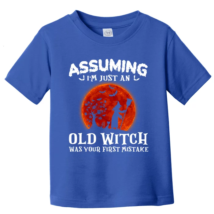 Assuming Im Just An Old Witch Was Your First Mistake Gift Toddler T-Shirt