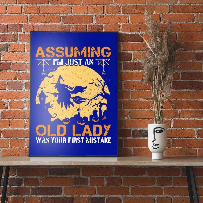 Assuming Im Just An Old Lady Was Your First Mistake Gift Poster