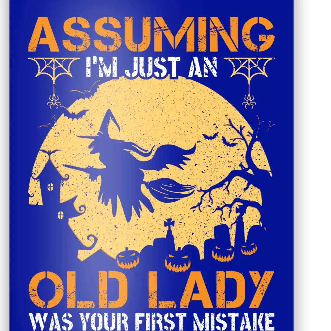 Assuming Im Just An Old Lady Was Your First Mistake Gift Poster