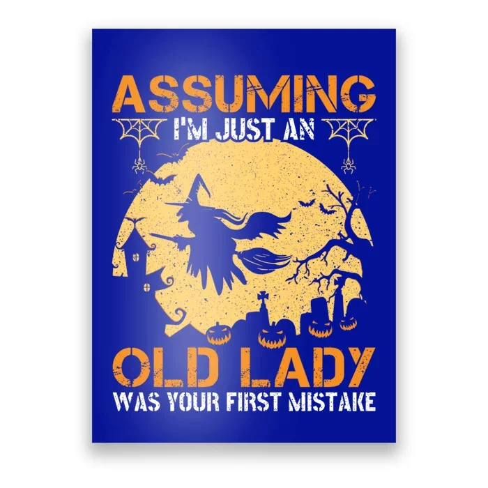 Assuming Im Just An Old Lady Was Your First Mistake Gift Poster