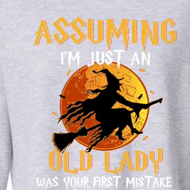 Assuming Im Just An Old Lady Was Your First Mistake Witch Gift Cropped Pullover Crew