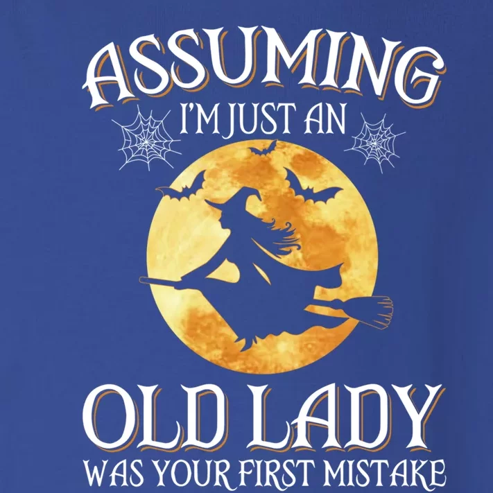 Assuming Im Just An Old Lady Witch Broom Witch Halloween Gift Toddler Long Sleeve Shirt