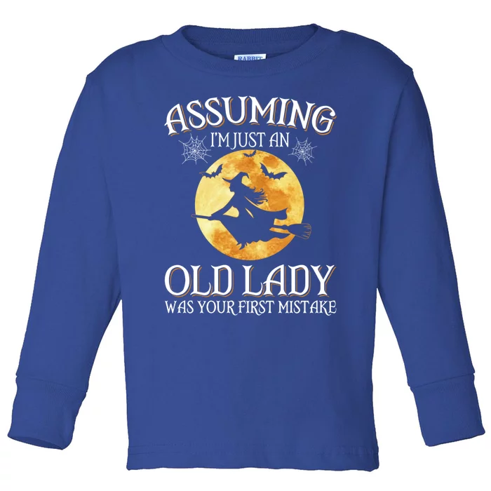 Assuming Im Just An Old Lady Witch Broom Witch Halloween Gift Toddler Long Sleeve Shirt