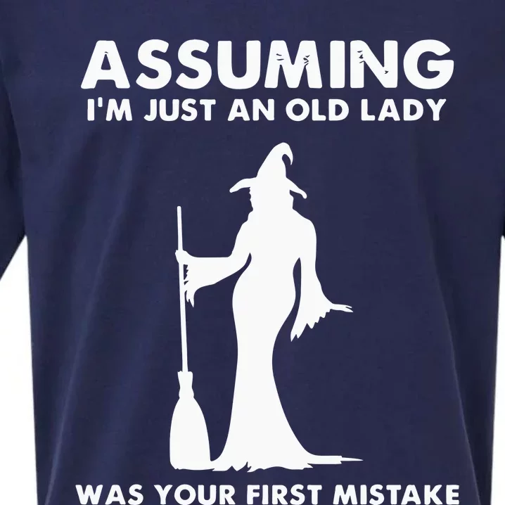 Assuming I’m Just An Old Lady Was Your First Mistake Sueded Cloud Jersey T-Shirt