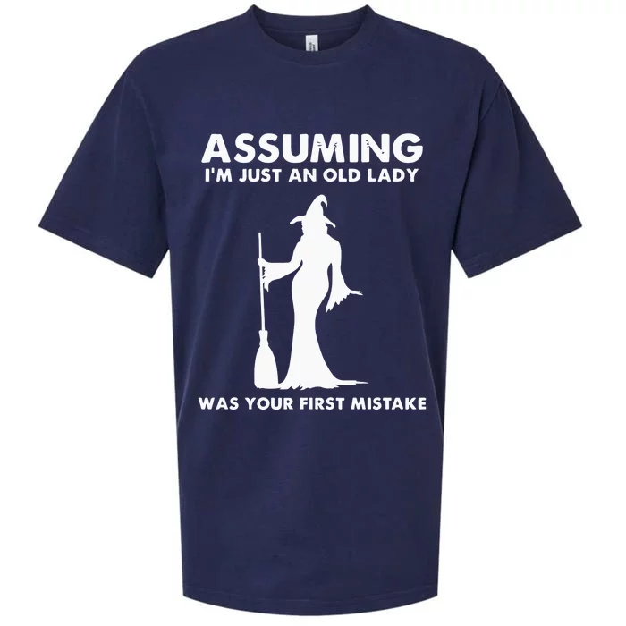 Assuming I’m Just An Old Lady Was Your First Mistake Sueded Cloud Jersey T-Shirt