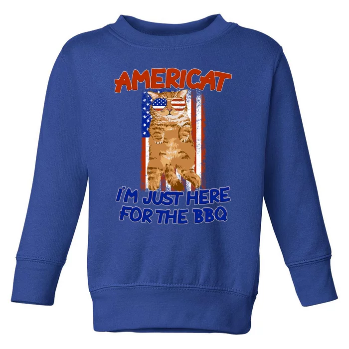 Americat Im Just Here For The Bbq 4th Of July Funny Gift Toddler Sweatshirt