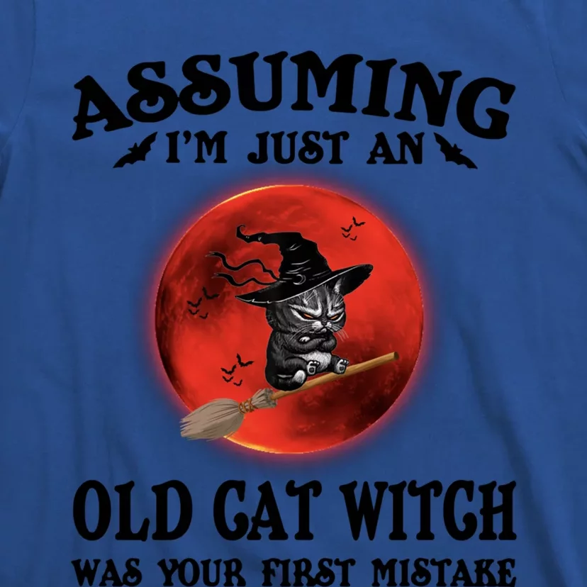 Assuming Im Just An Old Cat Witch Was Your First Mistake Gift T-Shirt