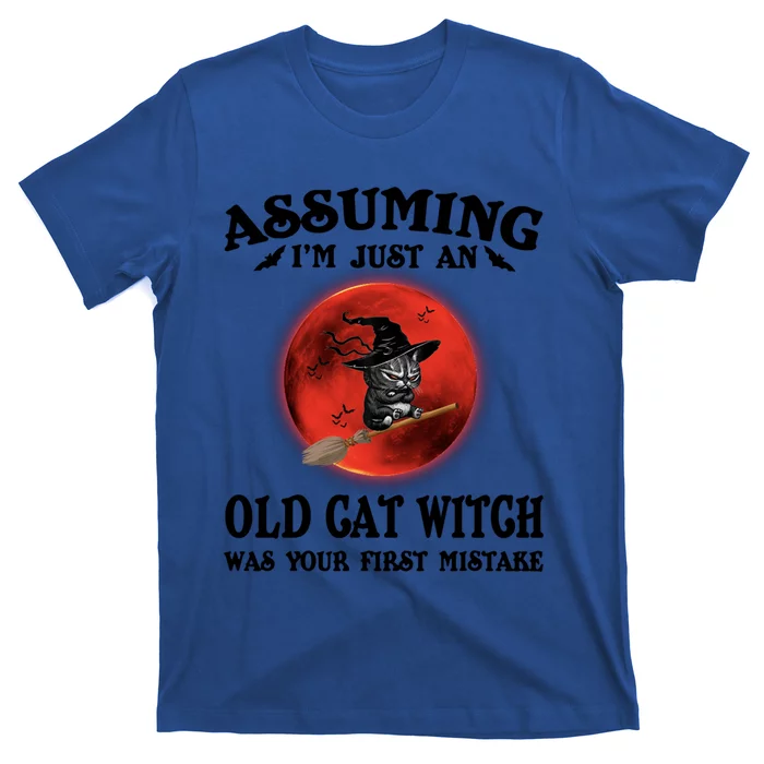 Assuming Im Just An Old Cat Witch Was Your First Mistake Gift T-Shirt