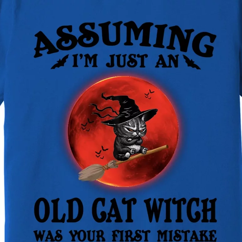 Assuming Im Just An Old Cat Witch Was Your First Mistake Gift Premium T-Shirt