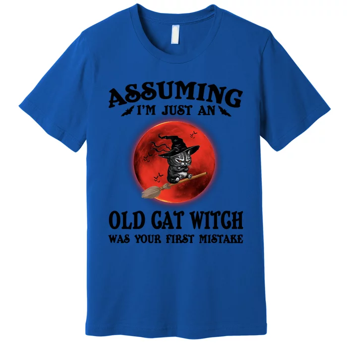 Assuming Im Just An Old Cat Witch Was Your First Mistake Gift Premium T-Shirt