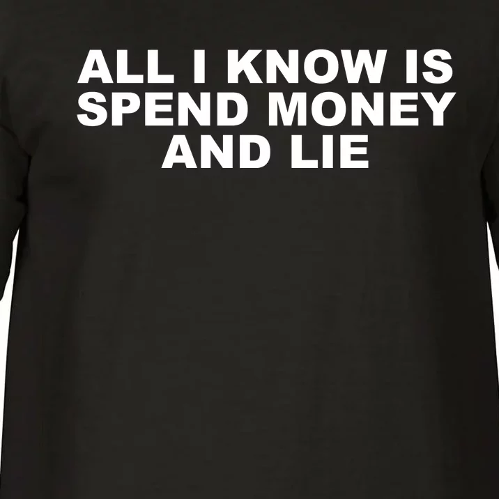 All I Know Is Spend Money And Lie Funny Humor Comfort Colors T-Shirt