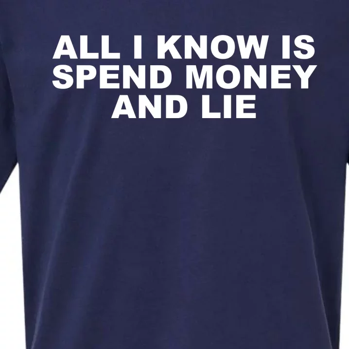 All I Know Is Spend Money And Lie Funny Humor Sueded Cloud Jersey T-Shirt