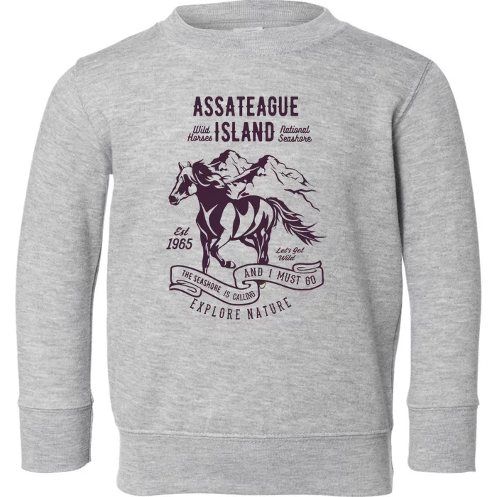 Assateague Island National Seashore Wild Horses Toddler Sweatshirt