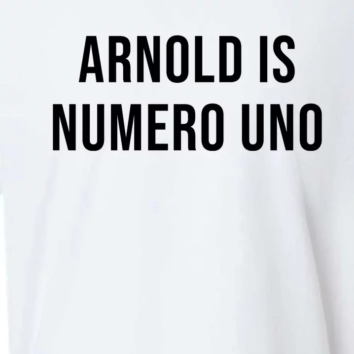 Arnold Is Numero Uno Sueded Cloud Jersey T-Shirt